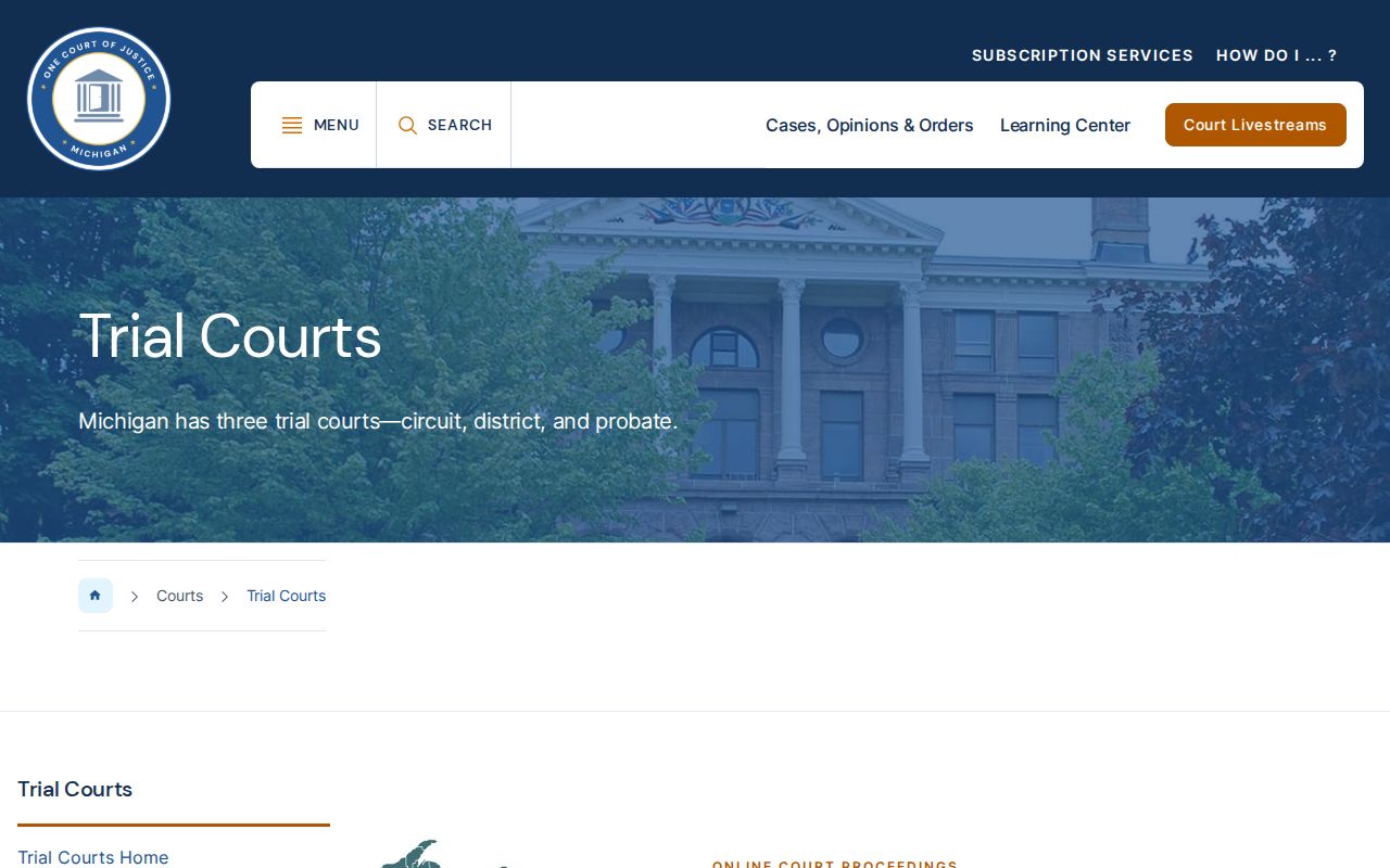 Michigan traffic court trial courts overview