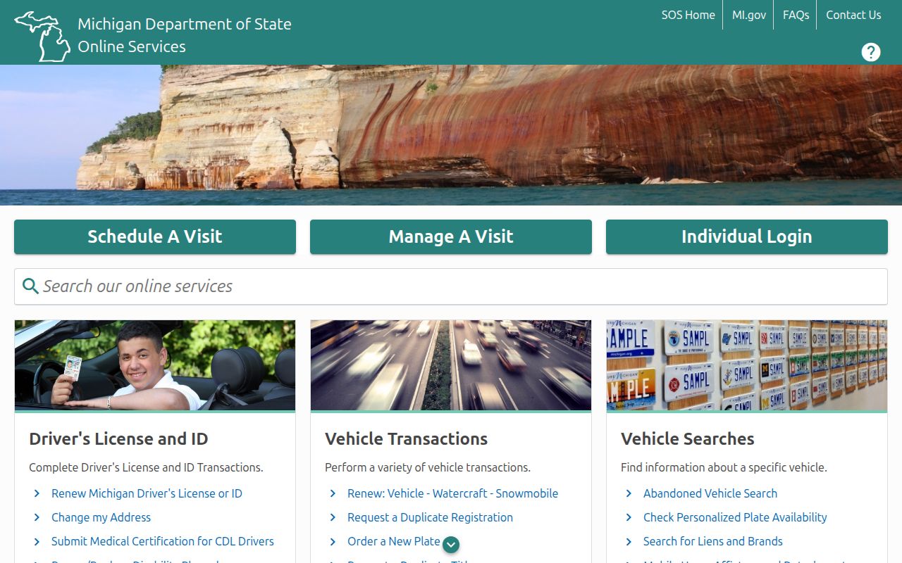 Michigan SOS driving record transaction screen
